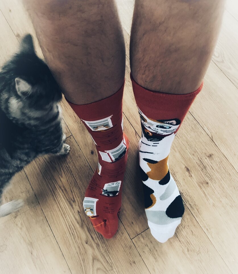 🤭🦶 🐈 - serialowapara19782