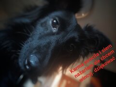 Zoya mówi elo w pniuntek