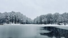 IMG_1896.jpeg