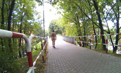 _133651A.mp4_snapshot_00.23.593.jpg