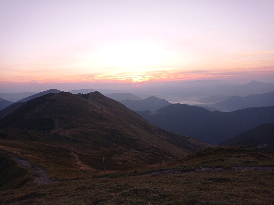 IMG_20240824_054558.jpg - dziki_rafiki