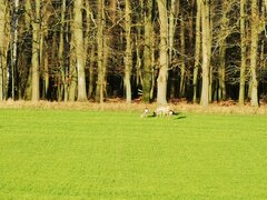 IMG_20230204_153755.jpg