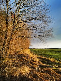 IMG_20230204_155118.jpg