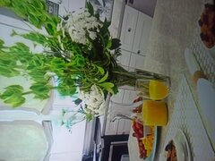 IMG_20250119_145027.jpg