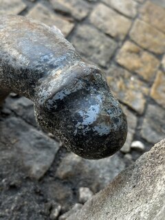 IMG_2934.JPEG