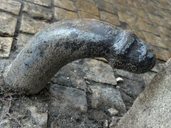 IMG_2929.JPEG