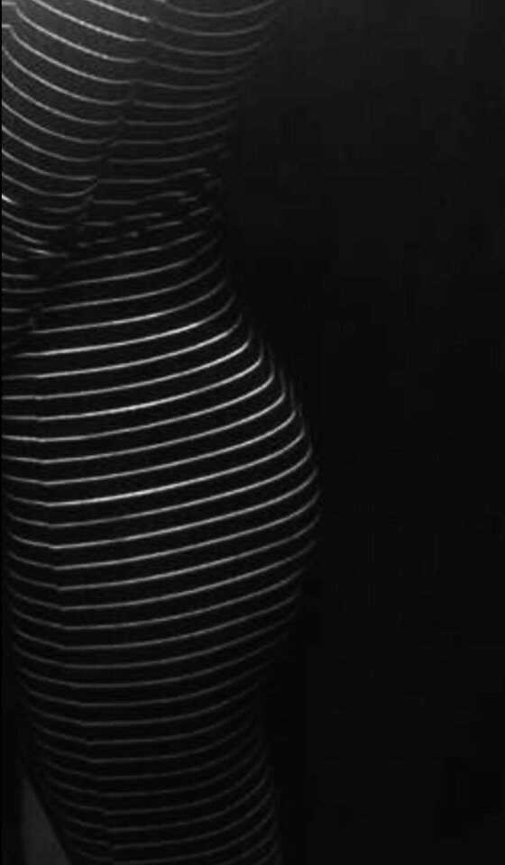 IMG_9125.jpeg - fuckBOTAK