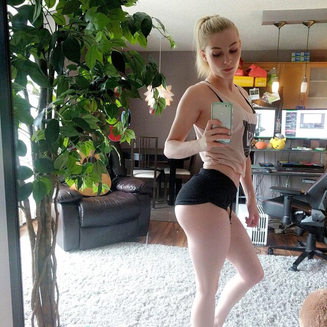 Wweerroonniikkaa