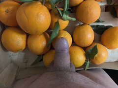 IMG_8172.jpeg