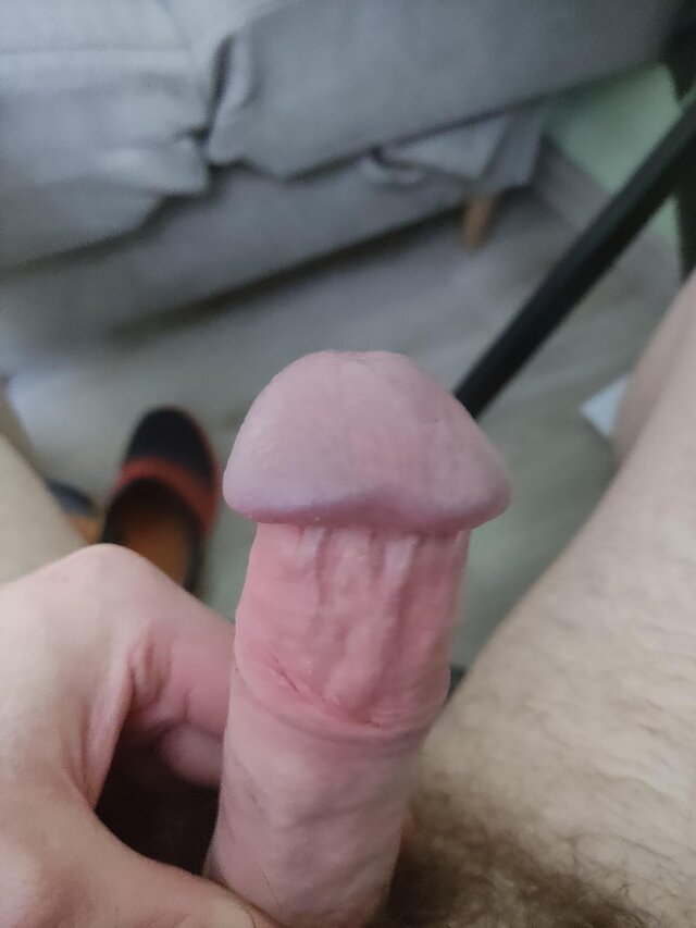 MisioLodz26