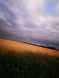 IMG_20220727_201332.jpg