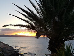 20190626_070702.jpg