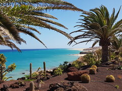 20190626_163744.jpg