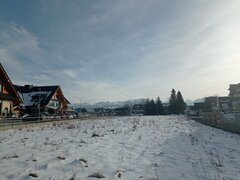 IMG_20250123_133608.jpg