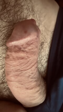 IMG_3116.jpeg