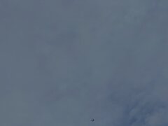 IMG_2997.jpg