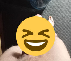 1jpg