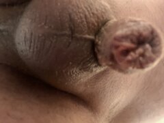 IMG_0544.jpeg