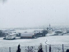IMG_1176.jpeg