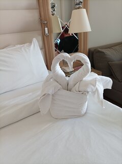 IMG_20241016_120914.jpg