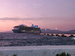 IMG_20241013_175549.jpg
