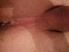 20250129_003617.jpg