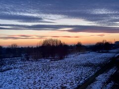 IMG_2346.jpeg