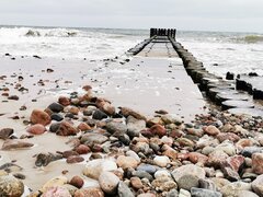 IMG_20210903_101357.jpg