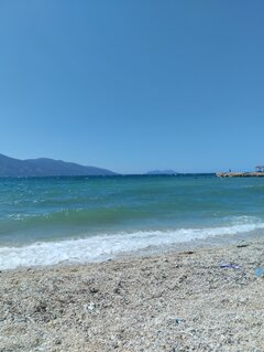 IMG_20230803_141636.jpg