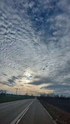 IMG_20250126_141619.jpg
