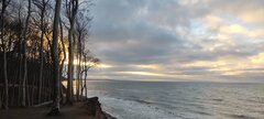 IMG_20250201_155810.jpg