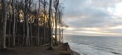 IMG_20250201_155813.jpg