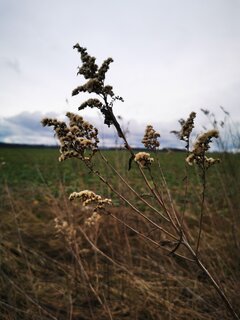 IMG_20250202_134203.jpg