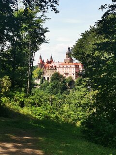 IMG_20240727_131838.jpg