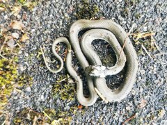 IMG_20240526_180131.jpg
