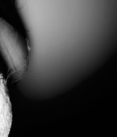 IMG_9658.jpeg