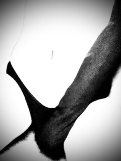 IMG_9728.jpeg