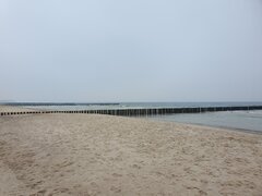 20250205_115156.jpg