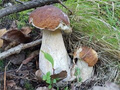 20210906_163627.jpg