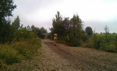 141801A.mp4_snapshot_00.25_[2023.08.29_16.45.49].jpg