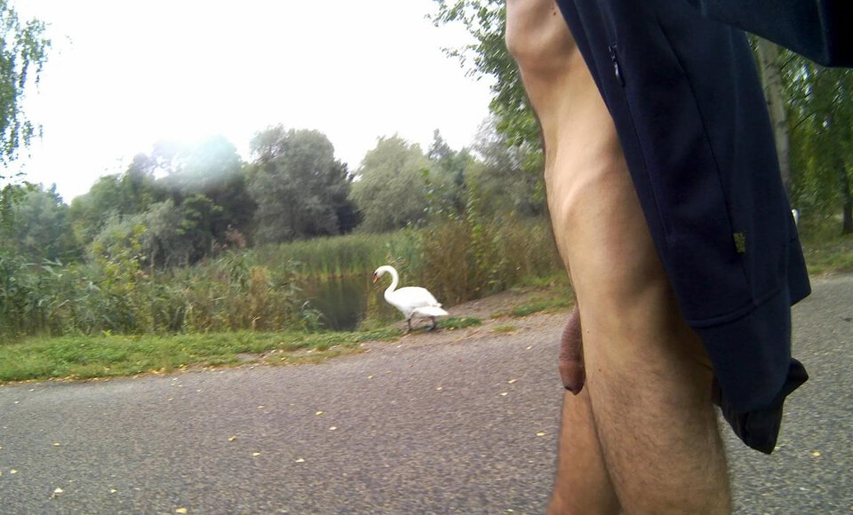 9_143815A.mp4_snapshot_00.56_[2023.08.29_17.28.42].jpg - Krzysztof_cfnm