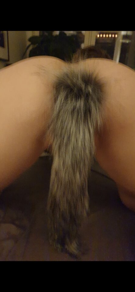 1000033257.jpg - Bi_para_KiP