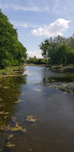 9e0ab462-0cd6-4800-813d-02029562cb00-1_all_755.jpg