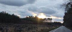 IMG_20250210_155349.jpg