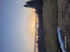 20250210_073755.jpg