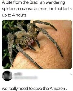 E83A917A-C9B2-402E-B5C1-92728003217B.jpeg