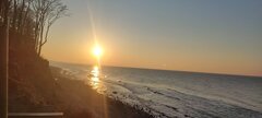 IMG_20250211_161634.jpg