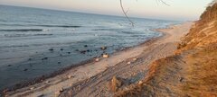 IMG_20250211_162038.jpg