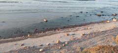 IMG_20250211_161351.jpg