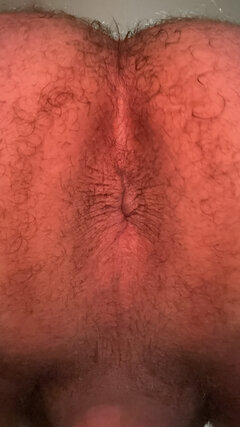 IMG_3683.jpeg